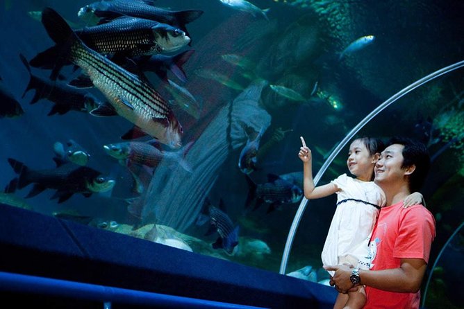 Underwater World at Pattaya Admission Ticket With Return Transfer - Common questions