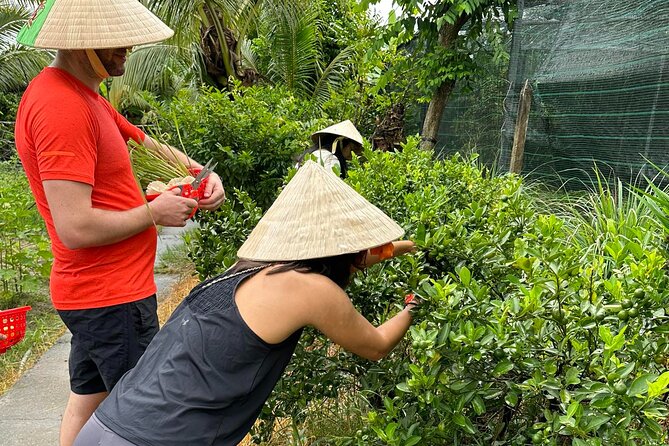 Unique Farm to Table Cooking Class With Top Chef in Vietnam - Last Words