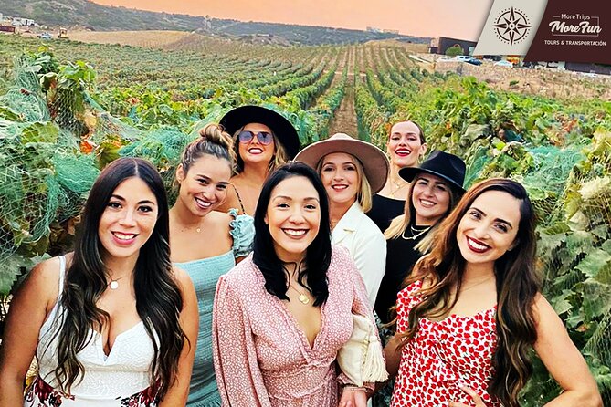 Valle De Guadalupe Winery and Brewery Tours - Traveler Reviews and Ratings
