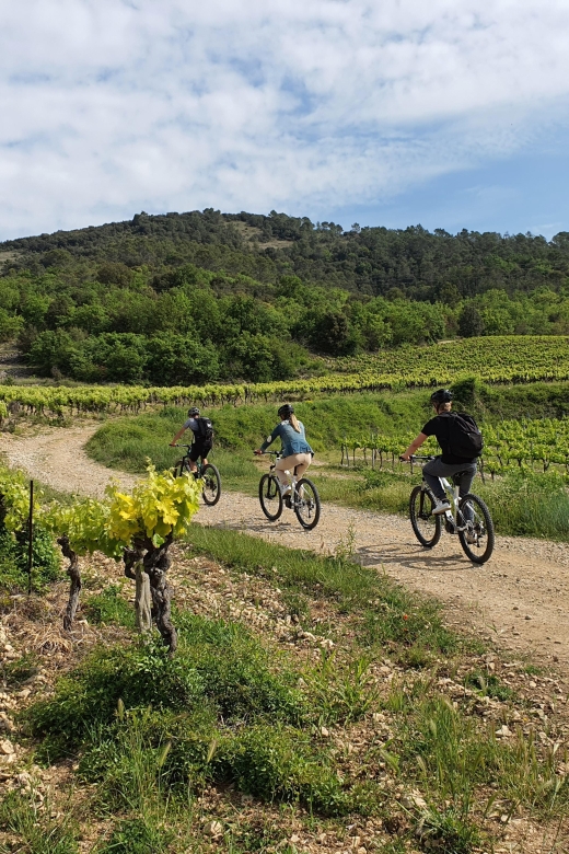 Vallon-Pont-dArc: Electric Bike Wine Tour & Tasting - Last Words