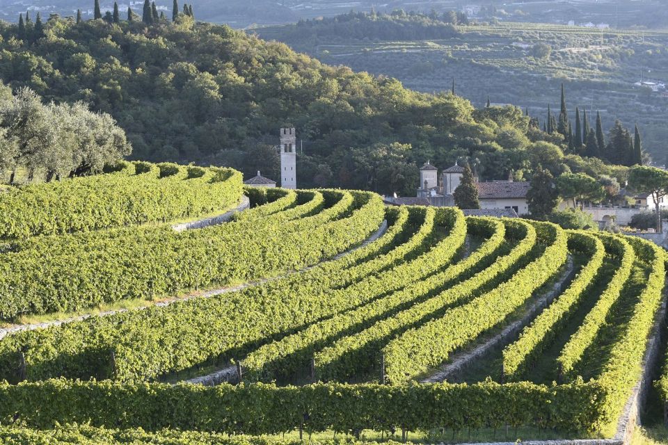 Verona: Amarone Wine Tour With Gourmet Lunch in Roman Villa - Booking Information