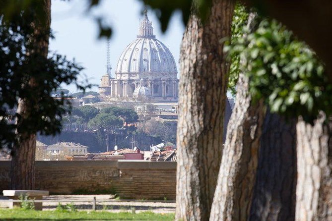 VIP Guided Tour Rome Colosseum, Vatican Museums, Lunch Included - Terms & Conditions and Refunds