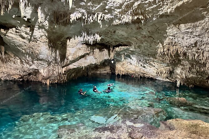 VIP Tulum Private Tour With Snorkeling in Breathtaking Cenote - Traveler Services and Amenities