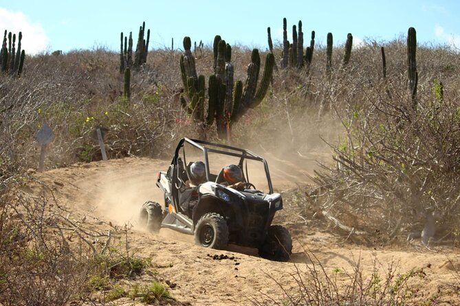 Viper Trail UTV Small-Group Experience in Cabo San Lucas - Route Highlights