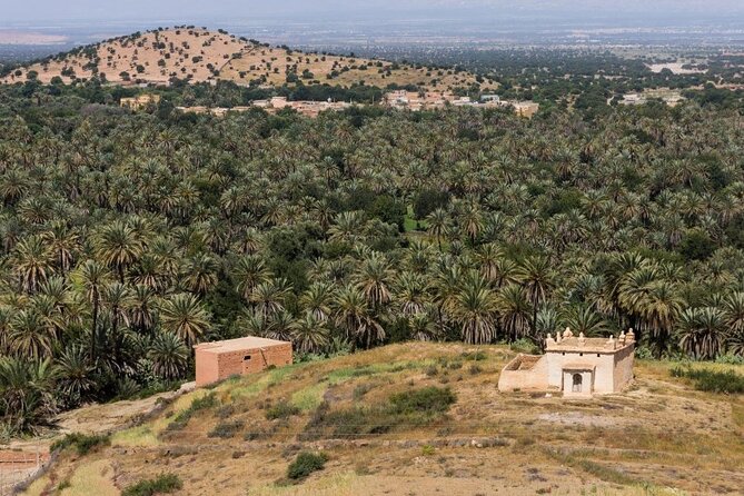 Visit Taroudant and Tiout 1 Day From Agadir - Last Words