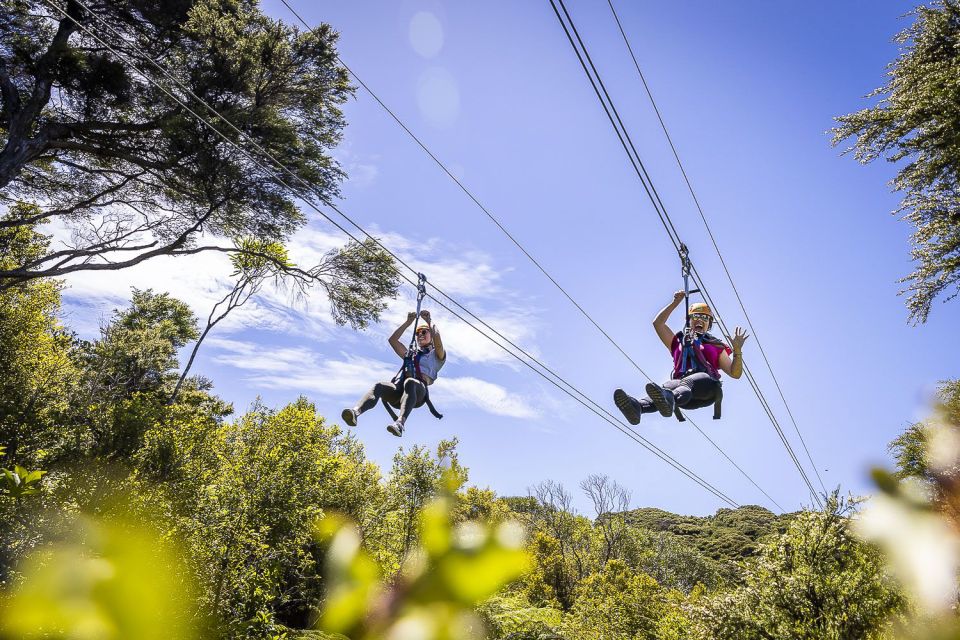 Waiheke Island: Zipline and Native Forest Adventure Trip - Customer Reviews