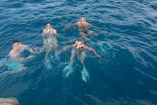 Waikiki Small Group Turtle Snorkeling & Sailing - Tour Highlights