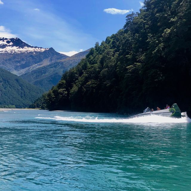 Wanaka: Jet Boat & Wilderness Walk - Experience Highlights