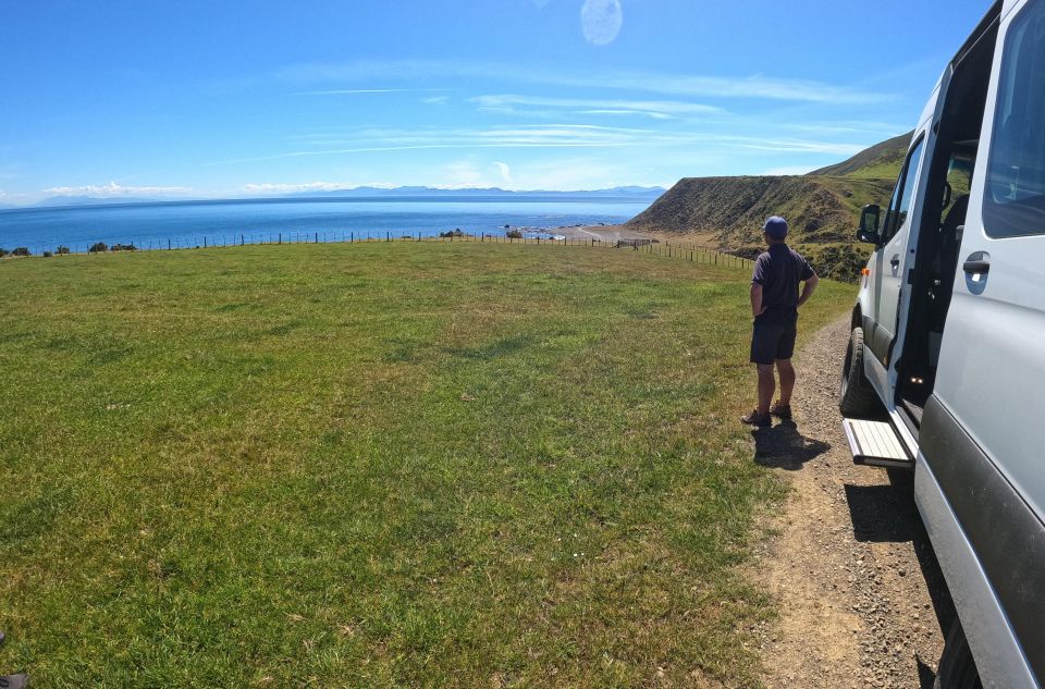 Wellington: Half Day Seal Coast Safari - Weather Considerations