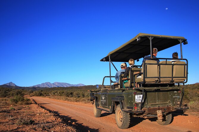 Western Cape Small-Group Night Safari - Night Safari Duration and Activities