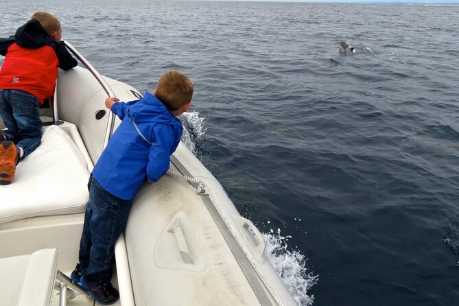 Whale and Dolphin Watching in San Diego - Directions to Meeting Point