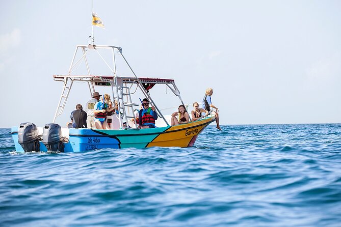 Whale Shark and Snorkeling Adventure From Isla Holbox - Cancellation Policy