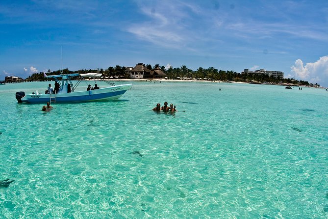 Whale Shark Tour From Cancun, Playa Del Carmen, Tulum and Riviera Maya - Highlighted Tours and Experiences