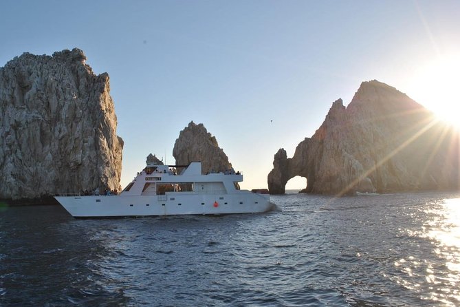 Whale Watching Cruise in Los Cabos - Accessibility and Traveler Information