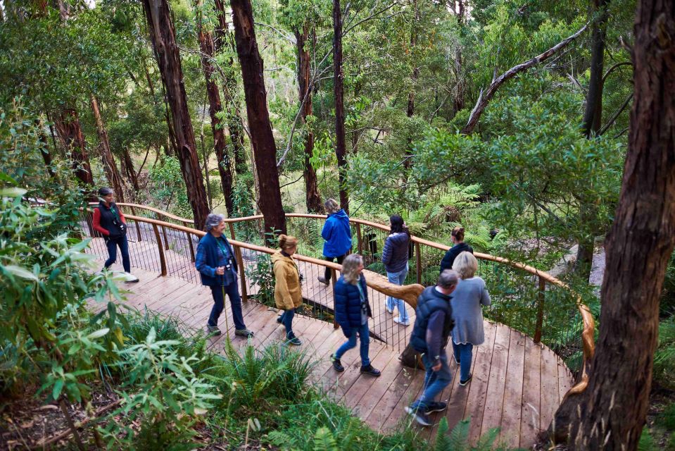 Wildlife Wonders: Great Ocean Road Dawn Discovery Tour - Booking Information