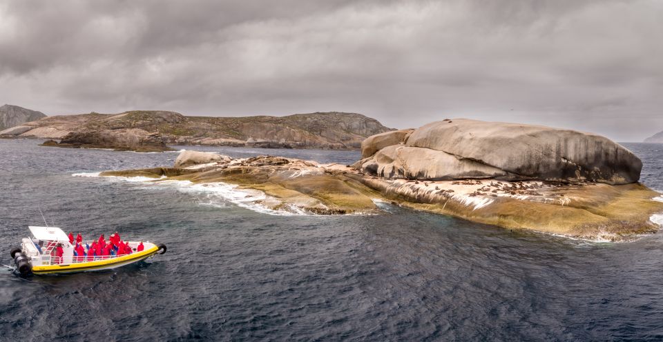 Wilsons Promontory: Afternoon Wilderness Cruise - Wildlife Spotting and Sightings