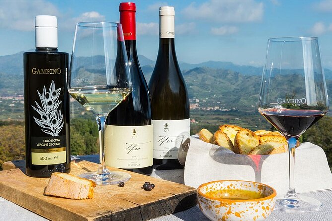 Wine & Food Tasting on Etnas Winery Private Tour - Booking Information