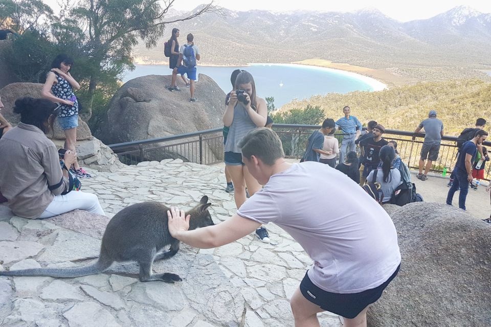 Wineglass Bay & Freycinet National Park Day Trip From Hobart - Important Information