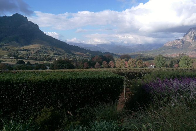Winelands Full Day Tour - Directions