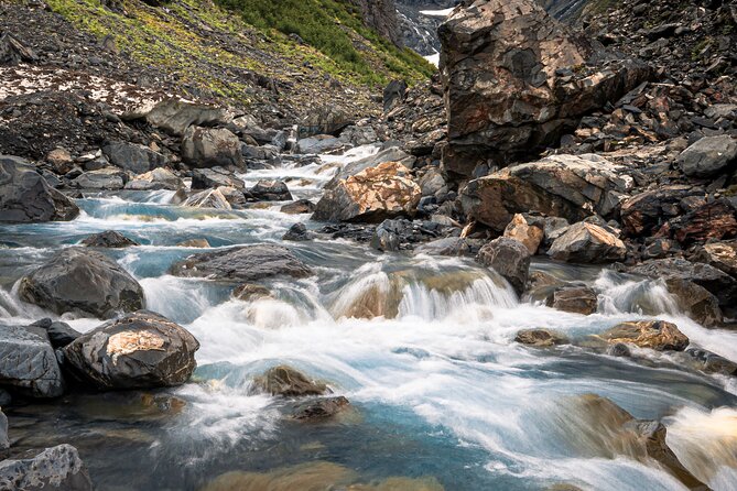 Year Round Glacier View & Wildlife Anchorage Adventure Tour - Memorable Experiences & Feedback