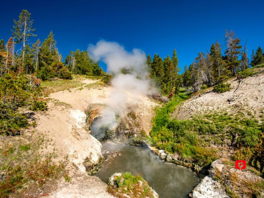 Yellowstone & Grand Teton: Self-Guided Audio Driving Tours - Visitor Accessibility