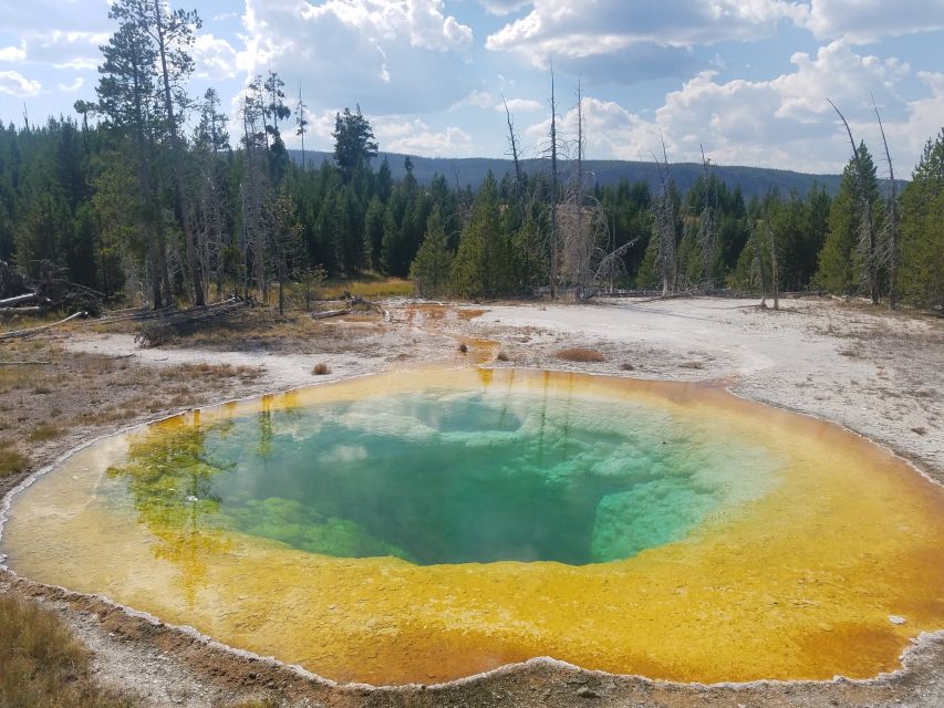 Yellowstone: Upper Geyser Basin Guided and Audio Tour - Booking Information