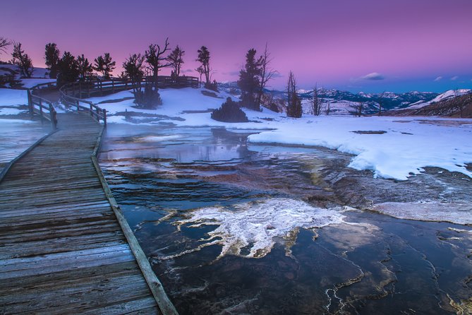 Yellowstone Winter Wildlife 4-Day Tour  - Gardiner - Last Words