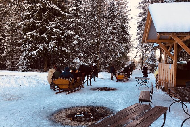 Zakopane & Sleigh Ride With Bonfire - Group Tour From Kraków - Customer Support