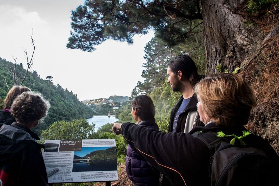 Zealandia Twilight Ecosanctuary Tour - Listen to Changing Sounds of Birds