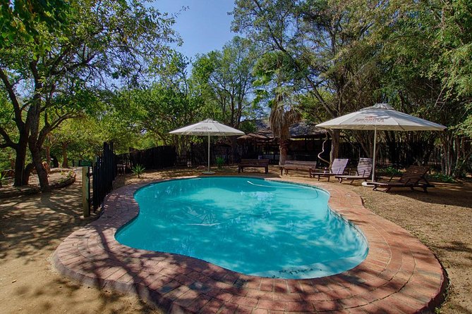 6 Day Lodge and Treehouse Kruger National Park Safari - Safari Itinerary Highlights