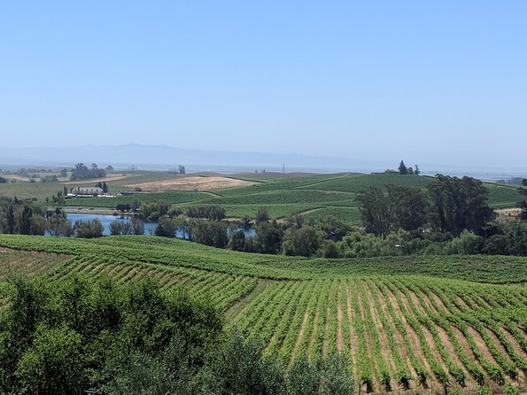 6 Hour Napa and Sonoma Valley Wine Tour From San Francisco - Key Points