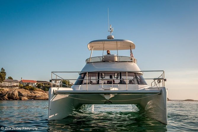 1 Hour Coastal Catamaran Cruise From Cape Town - Departure Points