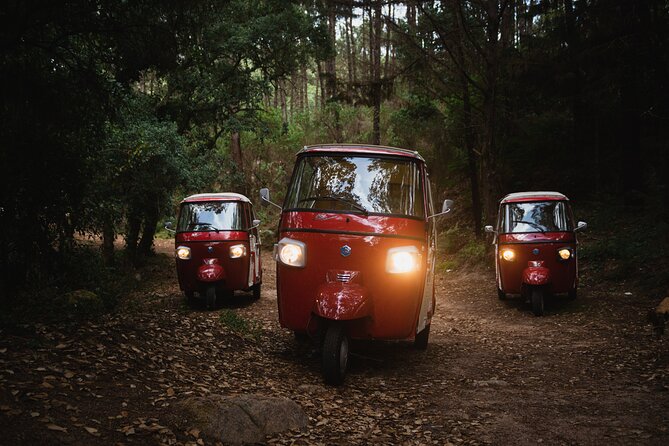 1 Hour Private Tuk-Tuk Tour in Sintra - Meeting Point