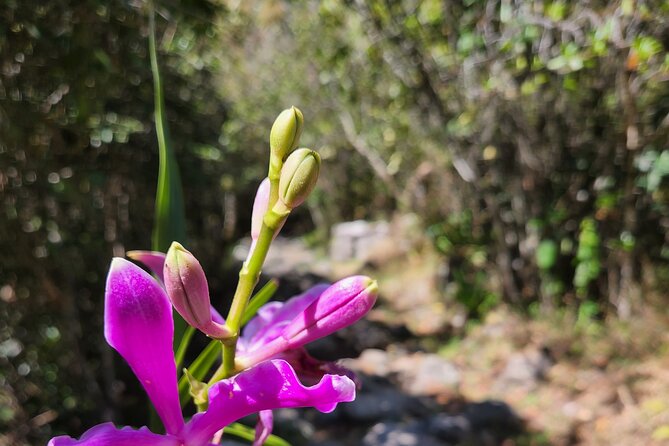 2-Day Tour of the Short Inca Trail From Cusco - Cancellation Policy