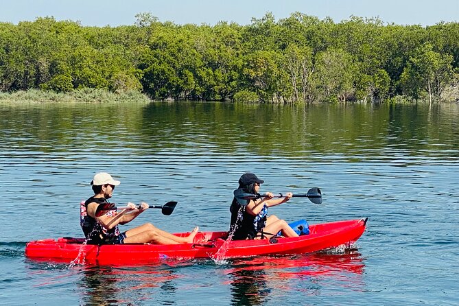 2 Hours Guided Mangrove Kayaking in Abu Dhabi - Common questions