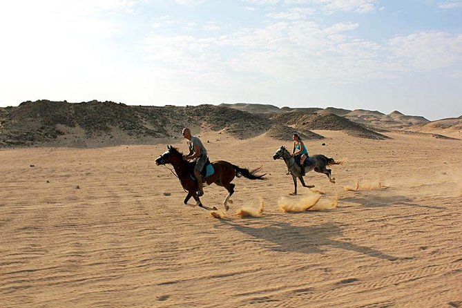 2 Hours Horse Riding 1H on the Sea and 1H in Desert From Hurghada - Host Responses