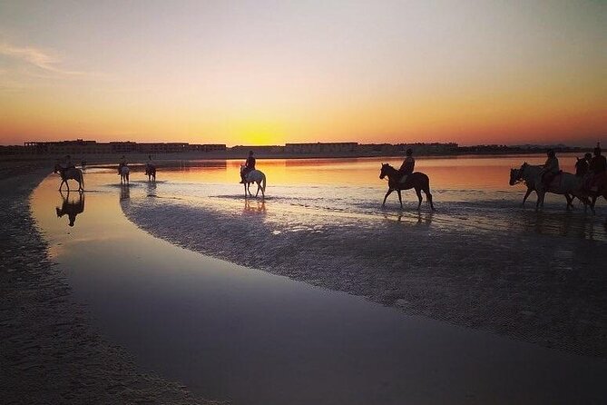 2 Hours Horse Riding on the Sea and Desert- Hurghada - Common questions