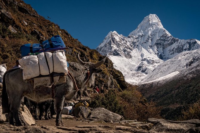 29 Days Mt. Everest AMA DABLAM Expedition - Contact and Booking Information
