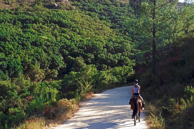 3 Days Horse Riding in Peneda Gerês National Park - Common questions