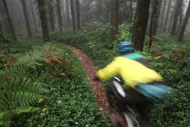 4 Hour Private MTB Enduro Trail Tour in Sintra Mountain - Last Words