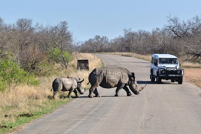 5 Day All Incl. Private Kruger Park Safari With Optional Panorama - Additional Tour Information