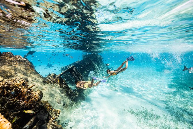 5-In-1 Cancun Snorkeling Tour:Swim With Turtles, Reef, Musa,Shipwreck and Cenote - Common questions