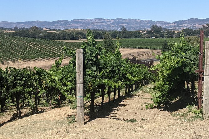 6 Hour Napa and Sonoma Valley Wine Tour From San Francisco - Last Words
