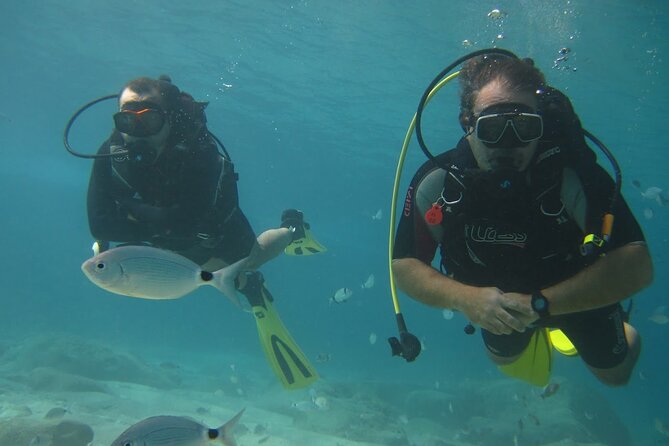 8-Hour Scuba Diving Experience in Side With Lunch - Last Words