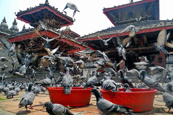 A Sightseeing Tour to Differentiate Three Durbar Square Around Kathmandu Valley - Common questions