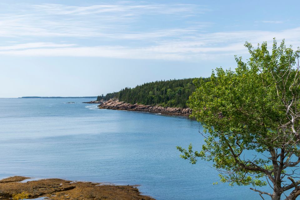 Acadia: Bar Harbor & Ocean Path Self-Guided Audio Tours - Tour Itineraries