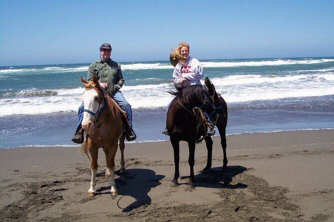 Acapulco Beach Horseback Riding Tour With Baby Turtle Release - Contact Information for Inquiries