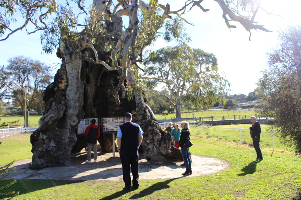 Adelaide: Barossa and Adelaide Hills Tour With Lunch - Directions