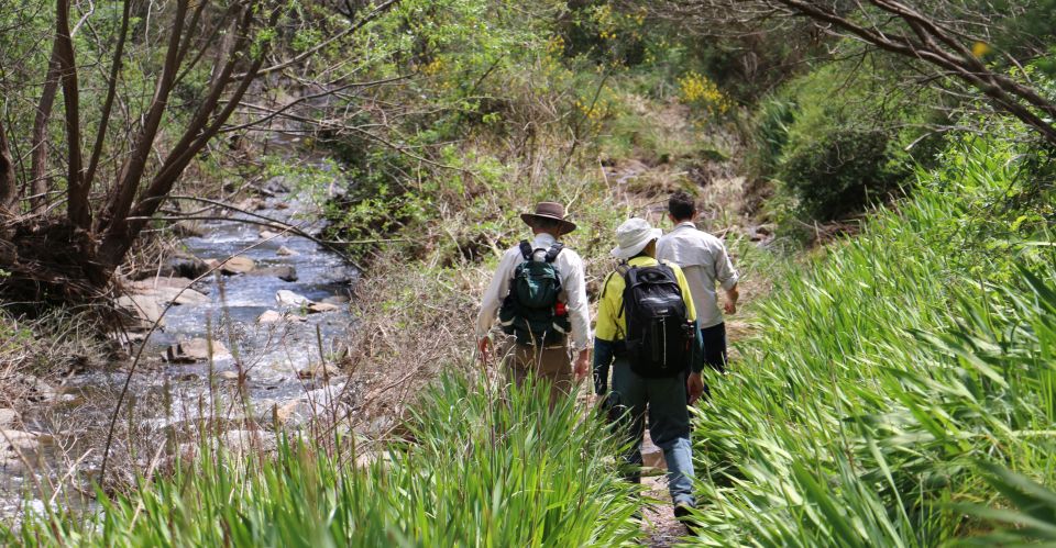 Adelaide: Morialta Wilderness and Wildlife Hike - Directions