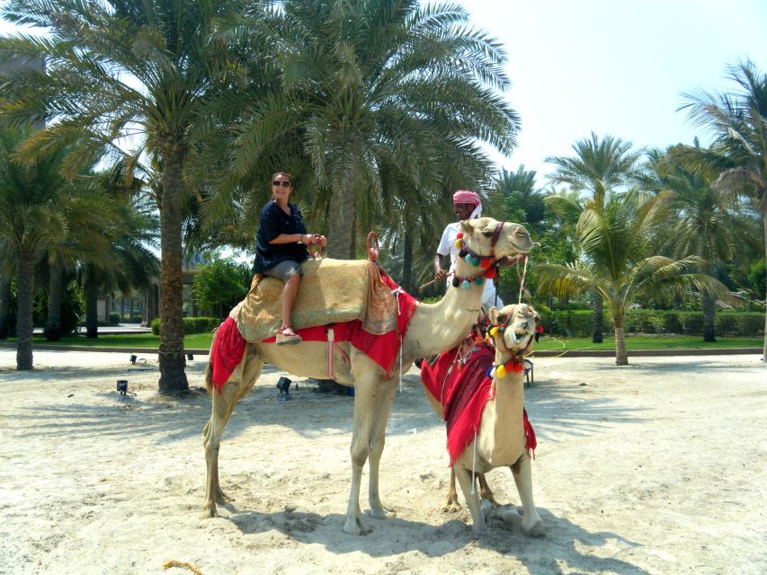 Agadir: Camel Ride With Tea in Falamingos River - Common questions